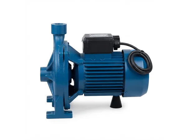2 HP MOTOR