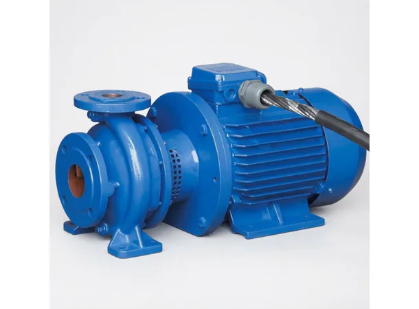 3 PHASE MOTOR