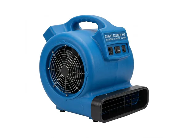 CARPET BLOWER